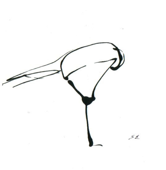 09 11 Sonja Eisenberg Ink Drawing, 18.5' X 18'